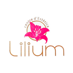 Lilium